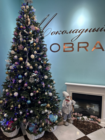 Лиза : индивидуалка проститутка Ярославля