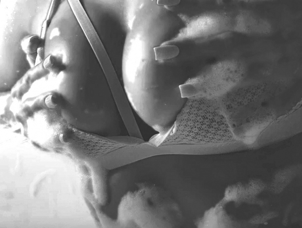 Алёна : проститутки индивидуалки в Ярославля