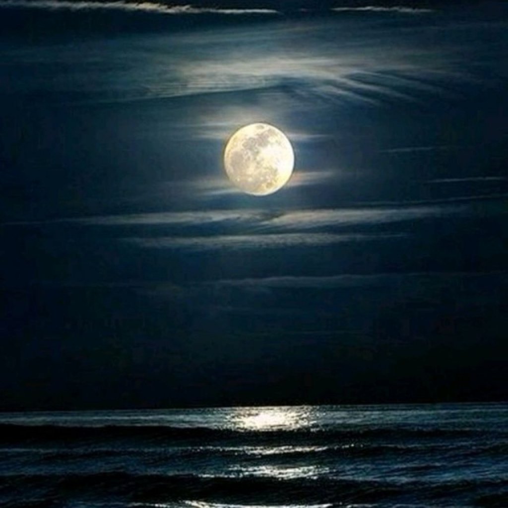 Пиратская Станция: проститутки индивидуалки в Ярославля